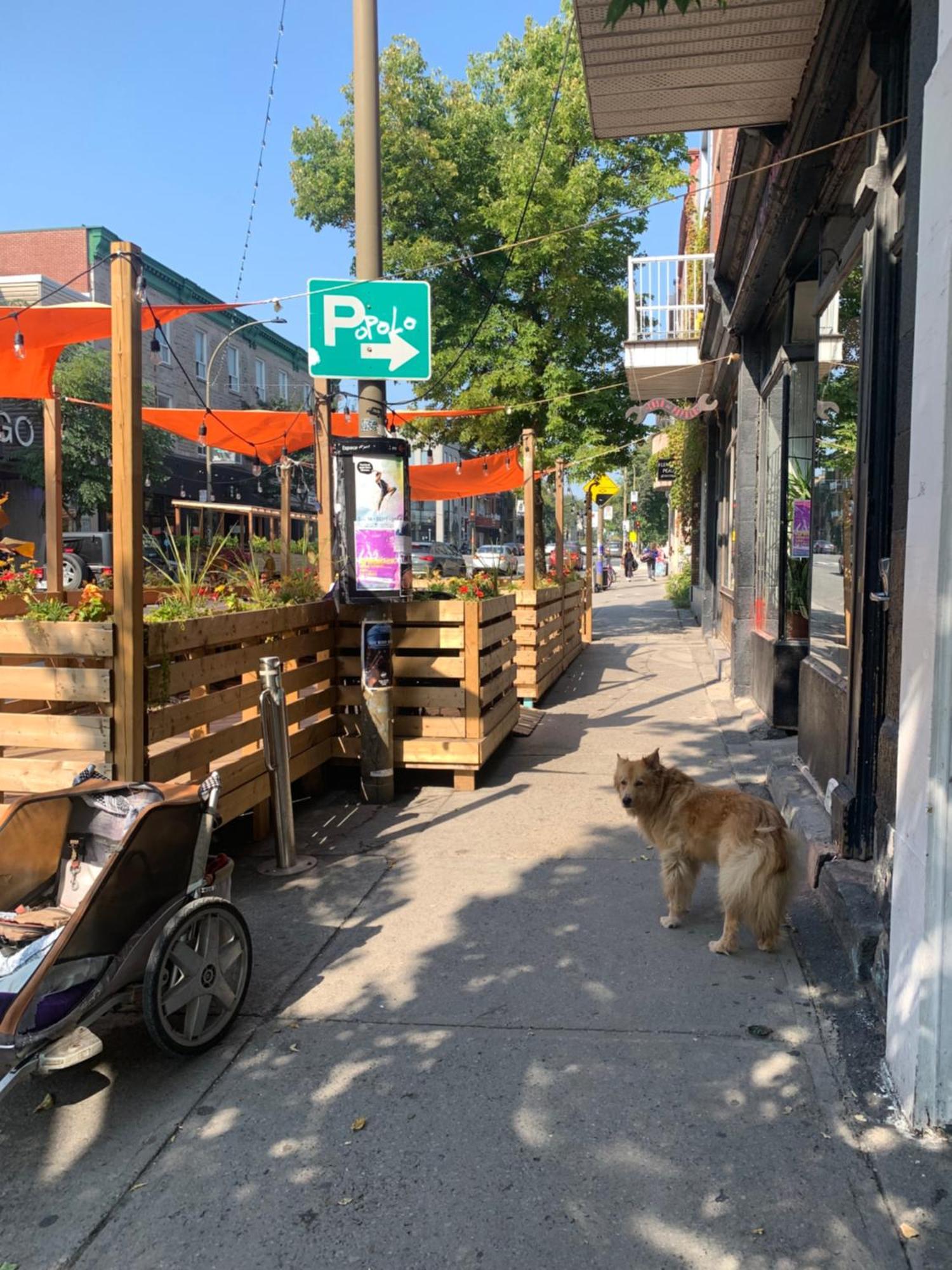 Pensione Popolo Montréal Esterno foto